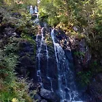 Notre Renardiere, A Saulxures-sur-moselotte, Hautes-vosges Apartament *