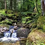 Notre Renardiere, A Saulxures-sur-moselotte, Hautes-vosges Apartament