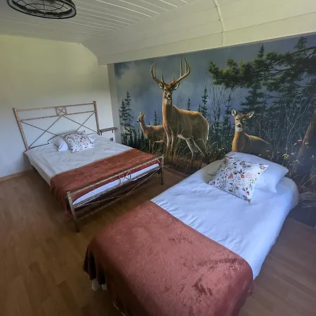 Notre Renardière, 2 Pour 5 Personnes Et 1 Pour 2 Personnes à Au Cœur Des Hautes-vosges * Saulxures-sur-Moselotte