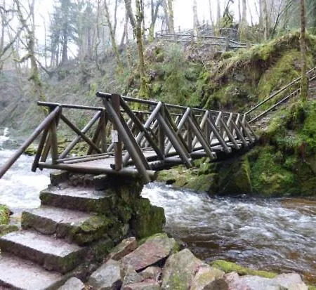 アパート Notre Renardiere, A Saulxures-sur-moselotte, Hautes-vosges *