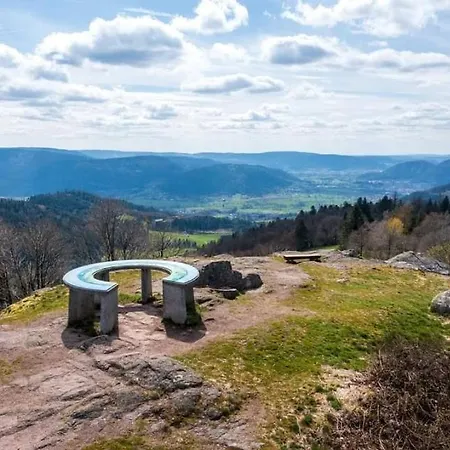 Appartamento Notre Renardière, 2 Pour 5 Personnes Et 1 Pour 2 Personnes à Au Cœur Des Hautes-vosges *