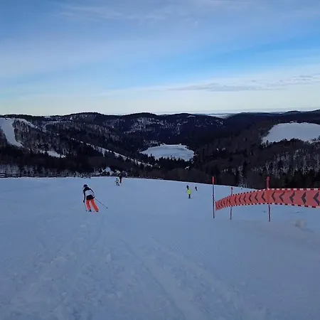 Notre Renardiere, A Saulxures-sur-moselotte, Hautes-vosges Saulxures-sur-Moselotte