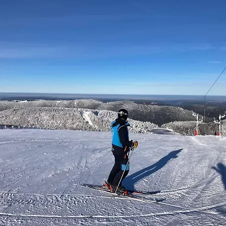 Notre Renardière, 2 Pour 5 Personnes Et 1 Pour 2 Personnes à Au Cœur Des Hautes-vosges Saulxures-sur-Moselotte