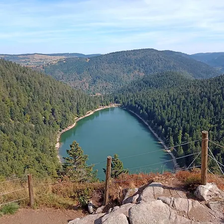 Notre Renardiere, A Saulxures-sur-moselotte, Hautes-vosges Apartment Saulxures-sur-Moselotte