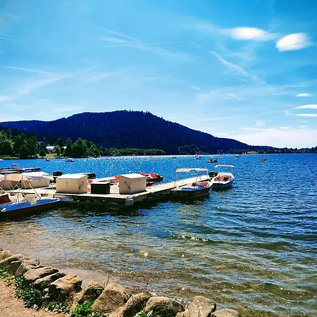 Notre Renardière, 2 Pour 5 Personnes Et 1 Pour 2 Personnes à Au Cœur Des Hautes-vosges Saulxures-sur-Moselotte