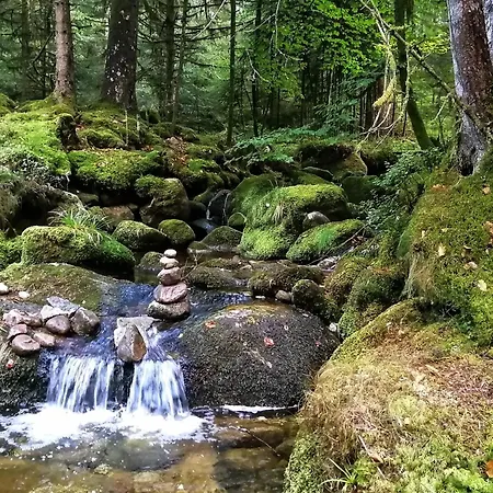 Notre Renardiere, A Saulxures-sur-moselotte, Hautes-vosges Lejlighed