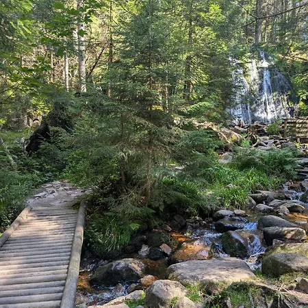 Notre Renardière, 2 Pour 5 Personnes Et 1 Pour 2 Personnes à Au Cœur Des Hautes-vosges *