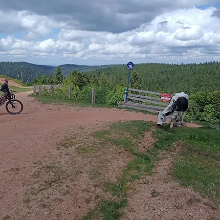 Notre Renardière, 2 Pour 5 Personnes Et 1 Pour 2 Personnes à Au Cœur Des Hautes-vosges * Saulxures-sur-Moselotte