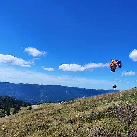 Notre Renardière, 2 Pour 5 Personnes Et 1 Pour 2 Personnes à Au Cœur Des Hautes-vosges Appartamento Saulxures-sur-Moselotte