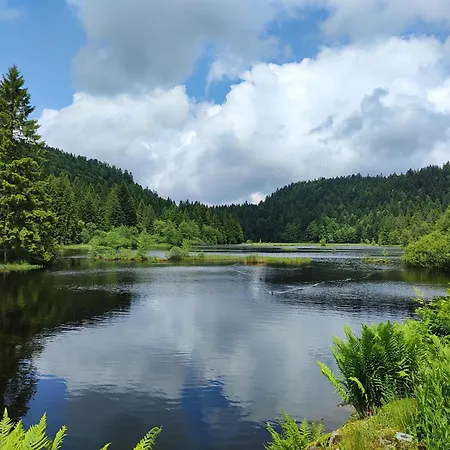 Notre Renardière, 2 Pour 5 Personnes Et 1 Pour 2 Personnes à Au Cœur Des Hautes-vosges Appartamento