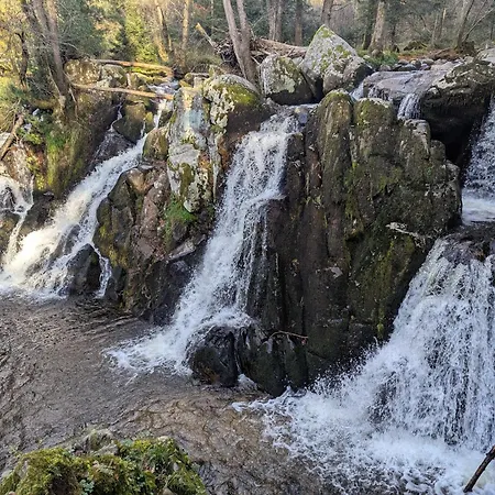 Appartamento Notre Renardière, 2 Pour 5 Personnes Et 1 Pour 2 Personnes à Au Cœur Des Hautes-vosges Saulxures-sur-Moselotte