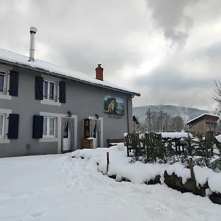 Apartment Notre Renardiere, A Saulxures-sur-moselotte, Hautes-vosges *