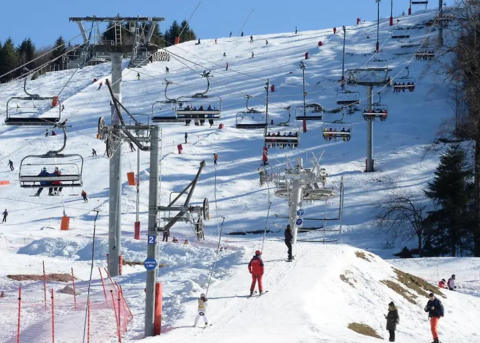 Appartement Notre Renardiere, A Saulxures-sur-moselotte, Hautes-vosges