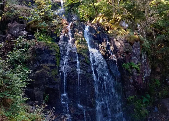 Notre Renardiere, A Saulxures-sur-moselotte, Hautes-vosges Appartement *